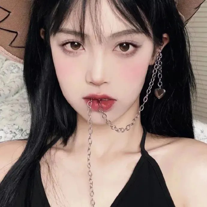 黑鹰计划 (2001年电影)